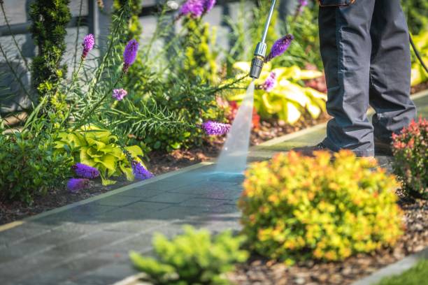 Savoy, IL Pressure Washing Services Company