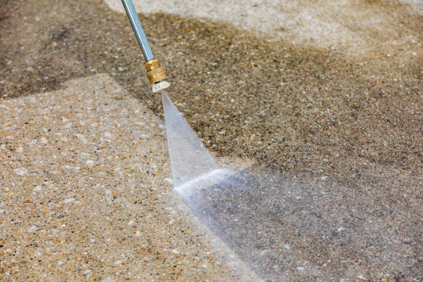 Best Pre-Holiday Cleaning  in Savoy, IL